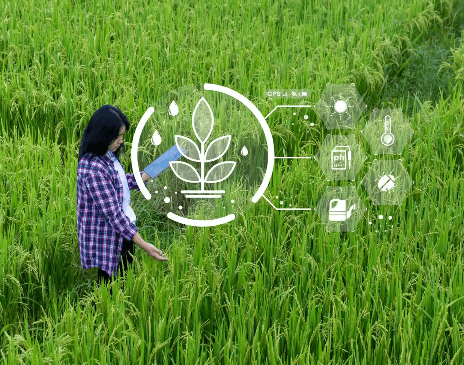 Saptabhume Agri Input