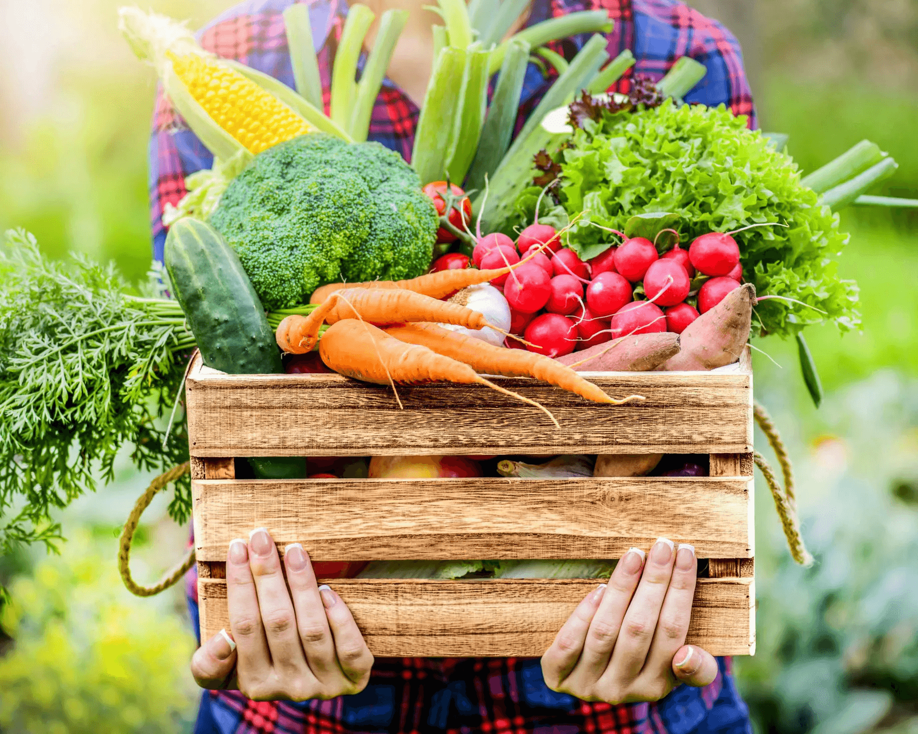 Saptabhume Agriculture Product Trade