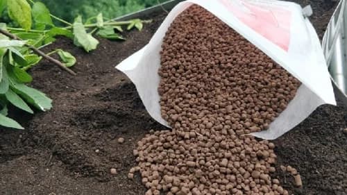 Phosphate Rich Organic Manure